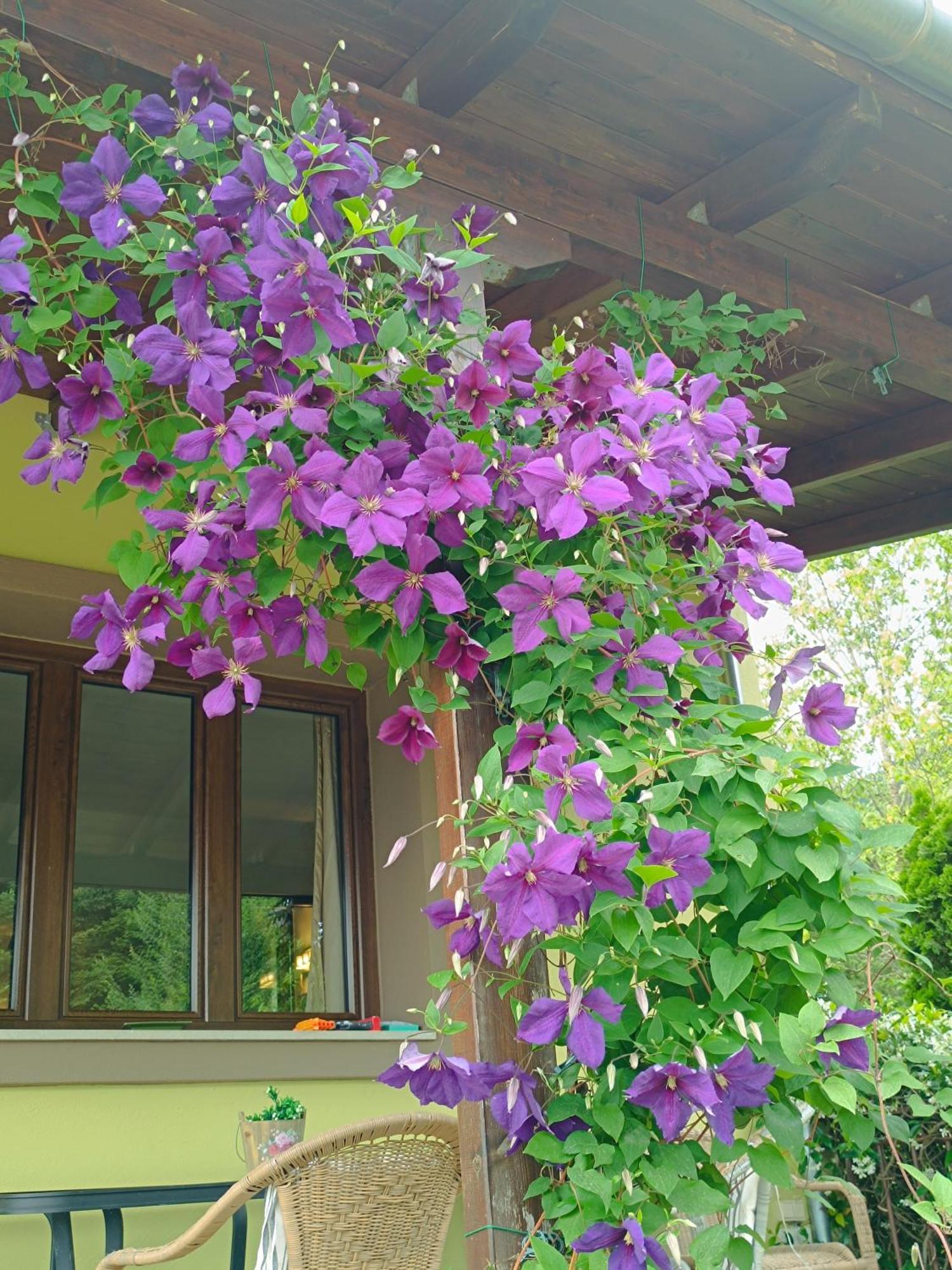 Baldeneige Pramanta Exterior foto